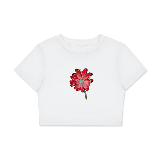 Fitted Women Crop Cotton T-Shirt