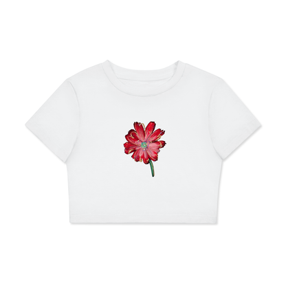 Fitted Crop Cotton T-Shirt